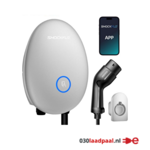Shockflo CS10 EV Laadpaal